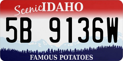 ID license plate 5B9136W