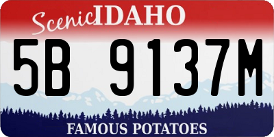 ID license plate 5B9137M