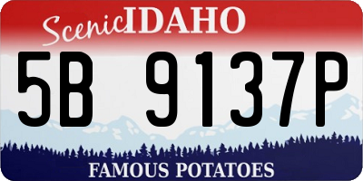 ID license plate 5B9137P