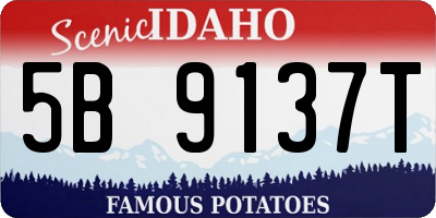 ID license plate 5B9137T
