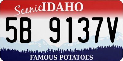 ID license plate 5B9137V