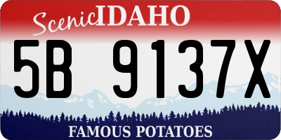 ID license plate 5B9137X