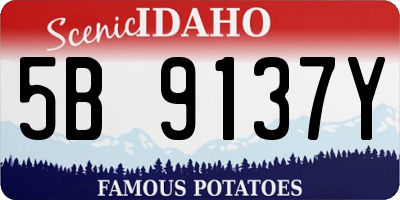 ID license plate 5B9137Y