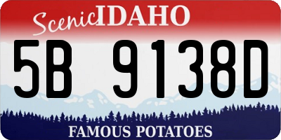 ID license plate 5B9138D