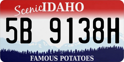 ID license plate 5B9138H