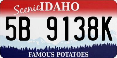 ID license plate 5B9138K