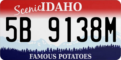 ID license plate 5B9138M