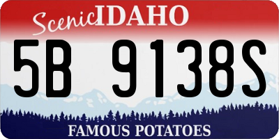ID license plate 5B9138S