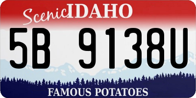 ID license plate 5B9138U