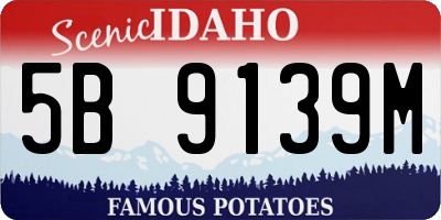 ID license plate 5B9139M