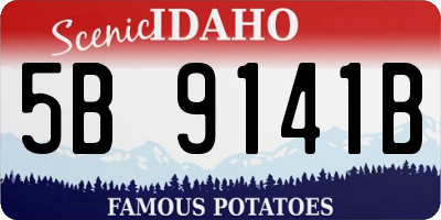 ID license plate 5B9141B