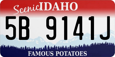 ID license plate 5B9141J