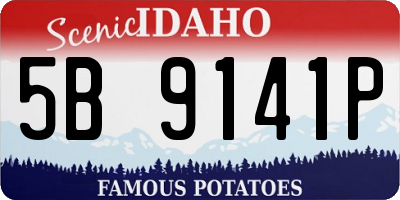 ID license plate 5B9141P