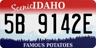 ID license plate 5B9142E