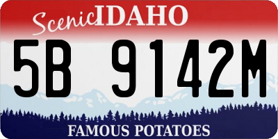 ID license plate 5B9142M