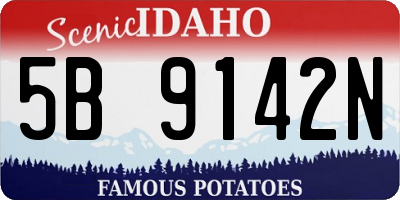 ID license plate 5B9142N