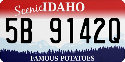 ID license plate 5B9142Q