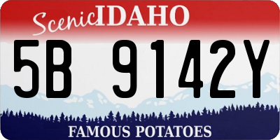 ID license plate 5B9142Y