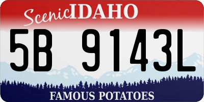 ID license plate 5B9143L