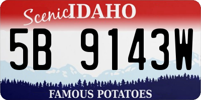 ID license plate 5B9143W