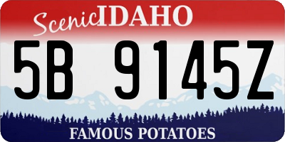 ID license plate 5B9145Z