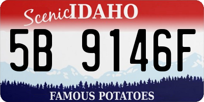 ID license plate 5B9146F