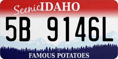ID license plate 5B9146L