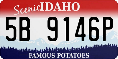 ID license plate 5B9146P