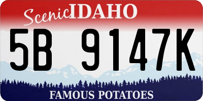 ID license plate 5B9147K