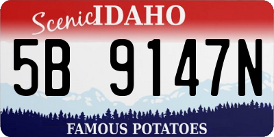 ID license plate 5B9147N
