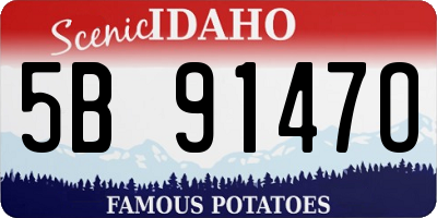 ID license plate 5B9147O