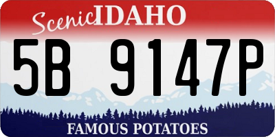 ID license plate 5B9147P
