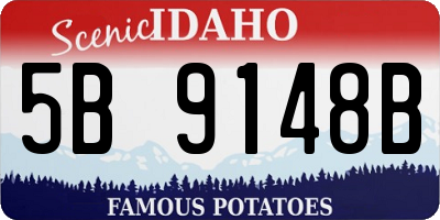 ID license plate 5B9148B