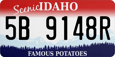 ID license plate 5B9148R