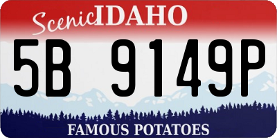 ID license plate 5B9149P