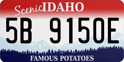 ID license plate 5B9150E