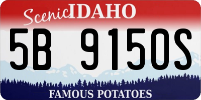 ID license plate 5B9150S