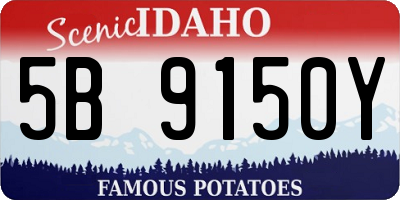 ID license plate 5B9150Y