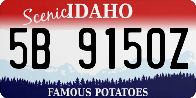 ID license plate 5B9150Z