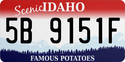 ID license plate 5B9151F