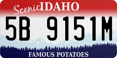 ID license plate 5B9151M