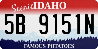 ID license plate 5B9151N
