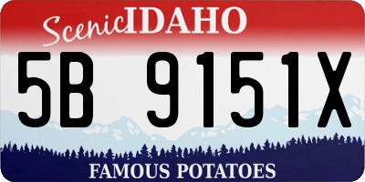ID license plate 5B9151X