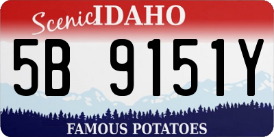 ID license plate 5B9151Y
