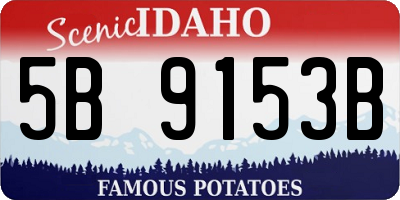 ID license plate 5B9153B