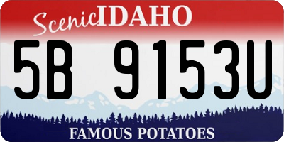 ID license plate 5B9153U
