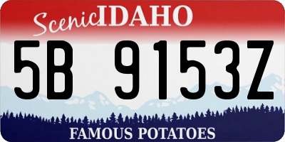 ID license plate 5B9153Z