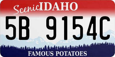 ID license plate 5B9154C