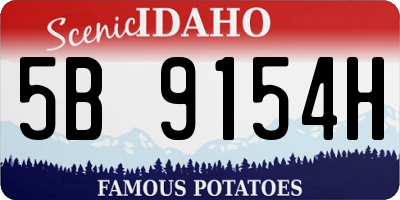 ID license plate 5B9154H