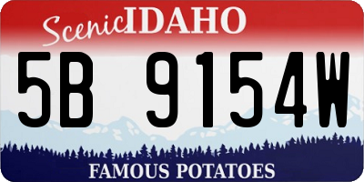 ID license plate 5B9154W